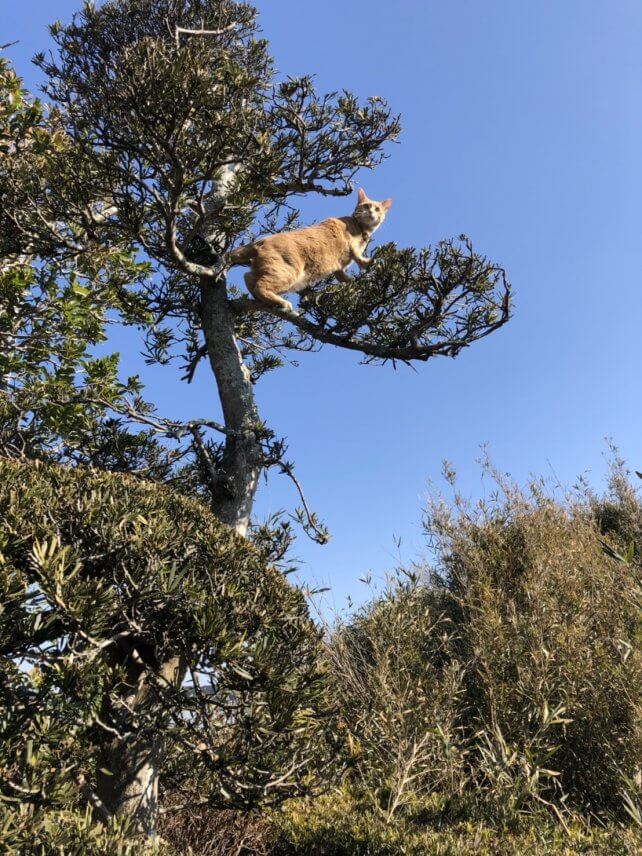 初めて見る景色