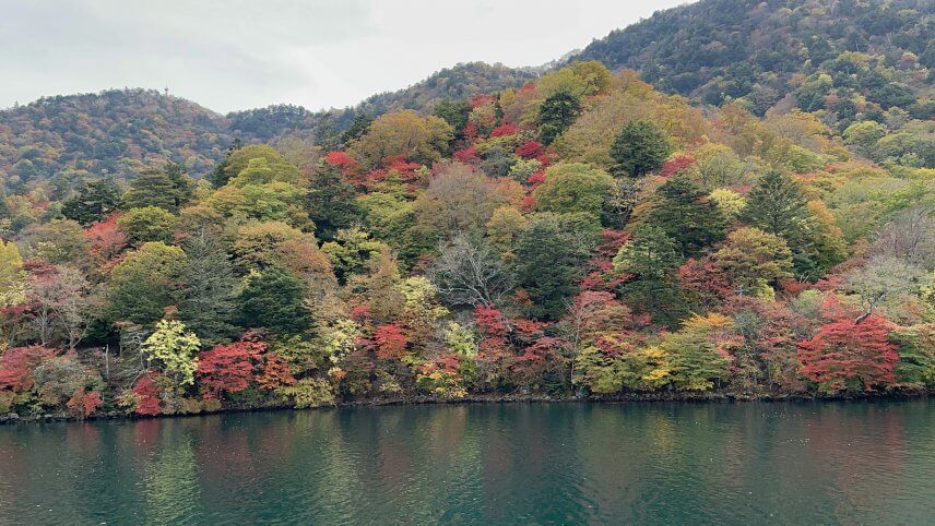 2022年 紅葉狩り