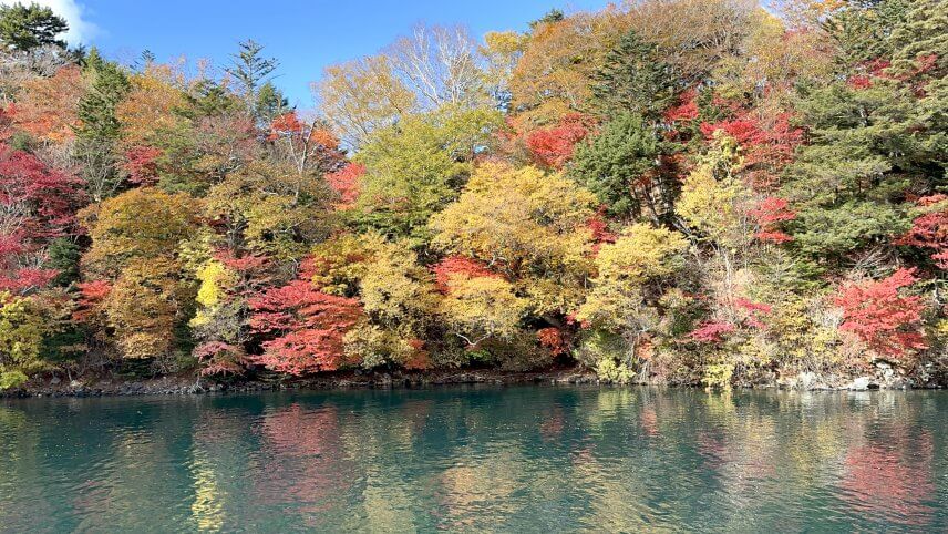 紅葉狩り（リベンジ⁉）