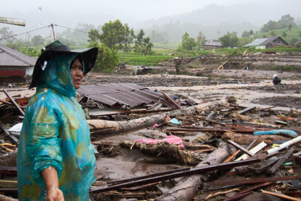 東南アジア豪雨水害
