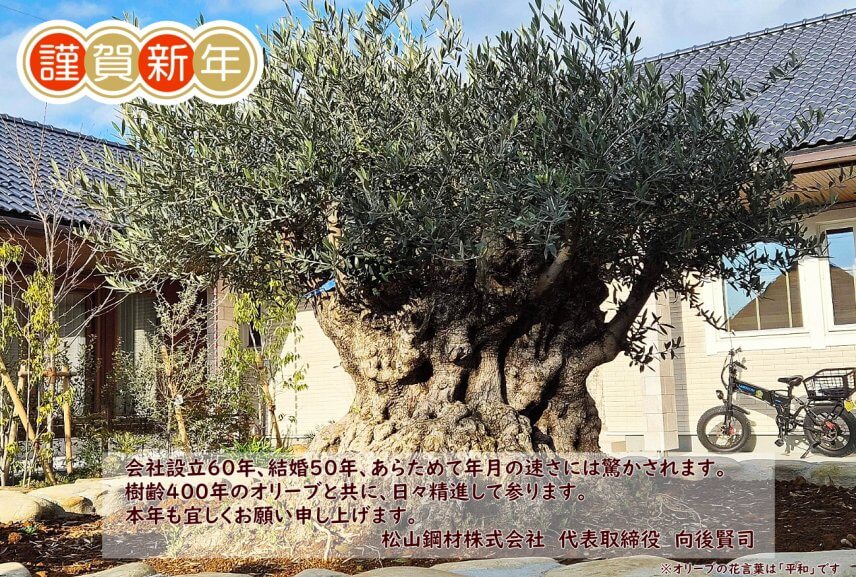 2026年始まりました！！