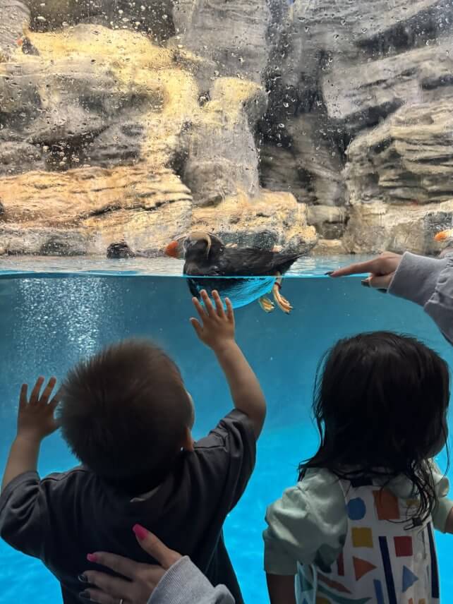水族館🐬