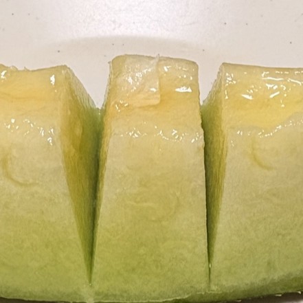 🍈メロン🍈